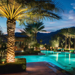 FL200 Flood Light on Palm Trees in Swimming Pool